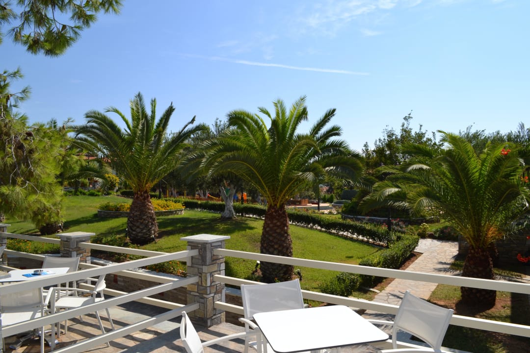 Palmen des Innenbereiches Blue Dolphin Resort Hotel