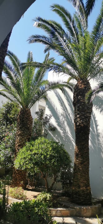 Gartenanlage Alianthos Garden Hotel