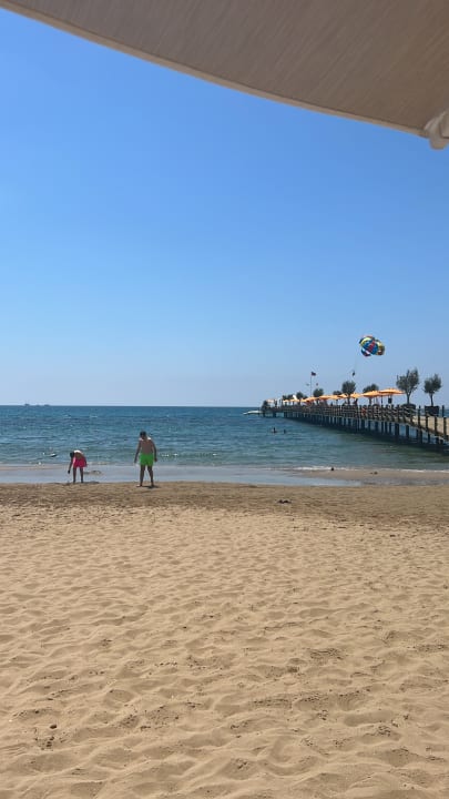 Strand Arum Barut Collection