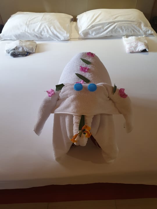 Zimmer Jaz Makadi Oasis Resort