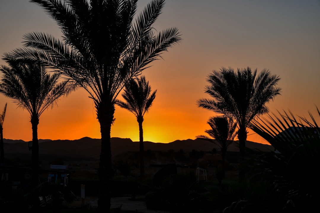 Ausblick Three Corners Equinox Beach Resort