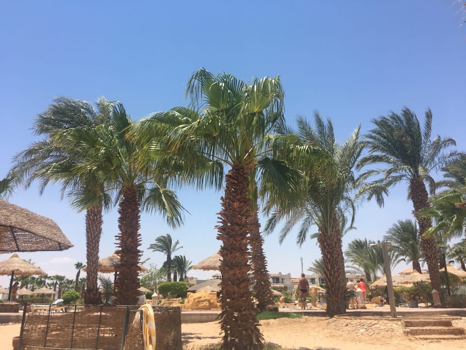 Gartenanlage Lotus Bay Beach Resort