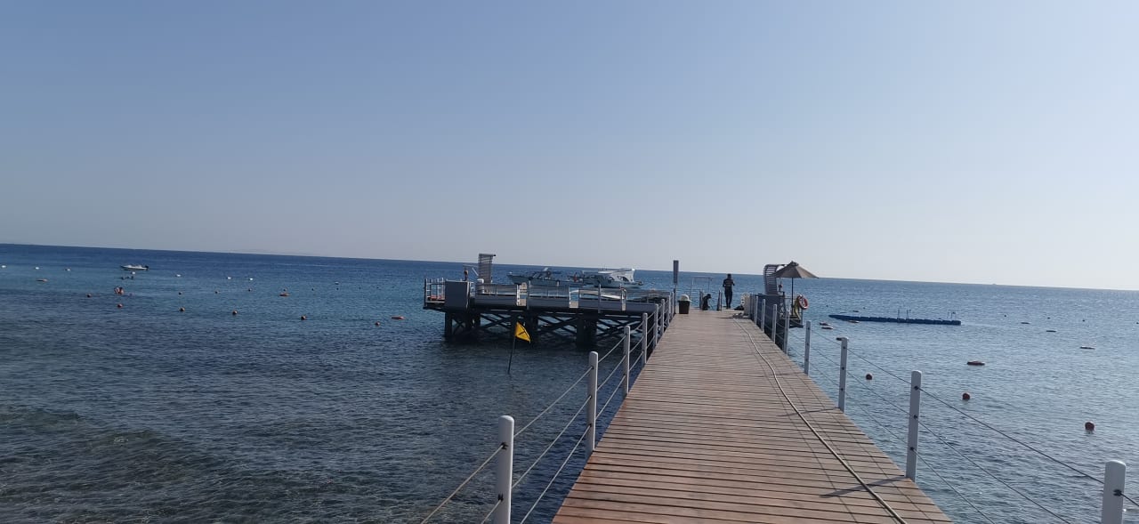 Strand Pickalbatros Palace Resort