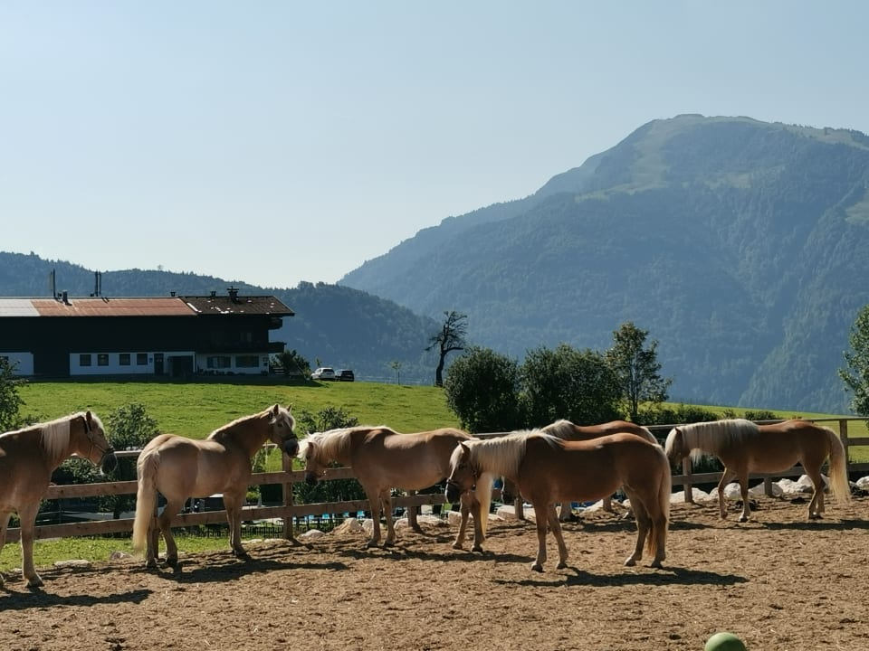 Ausblick Wohlfühlresort Peternhof