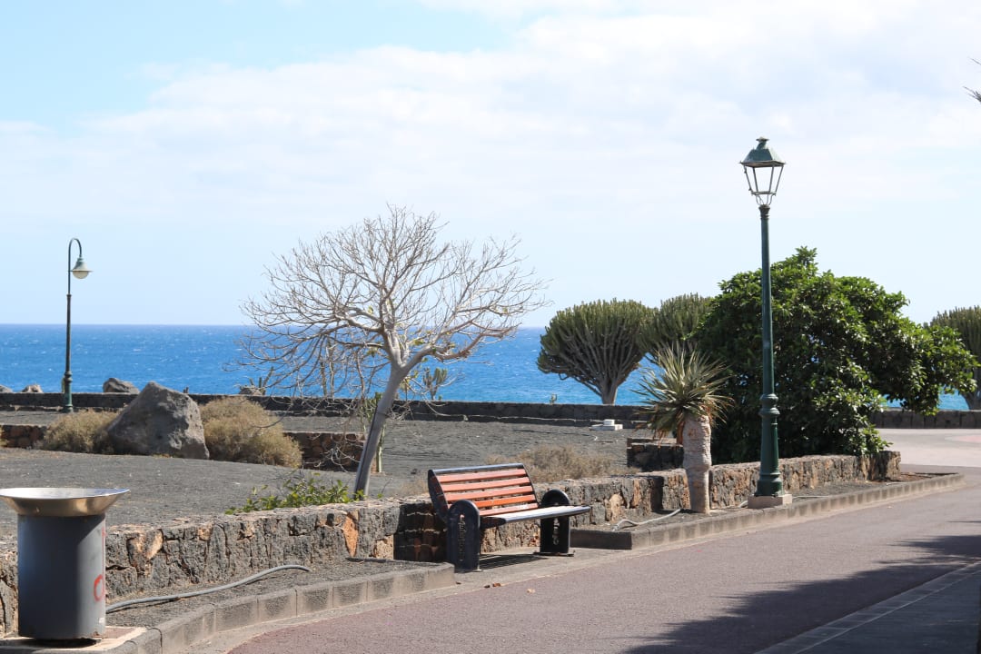 Garten allsun App.-Hotel Albatros