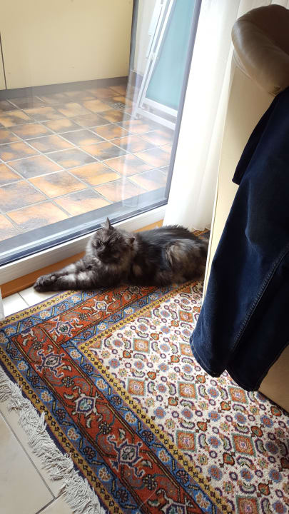 Zimmer  Hotel Stoiser