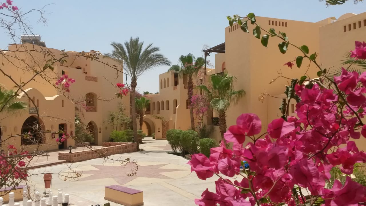 Gartenanlage Steigenberger Coraya Beach - Adults only