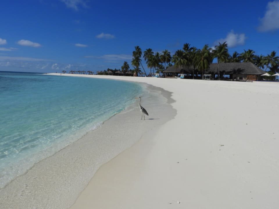 Strand Veligandu Maldives Resort Island