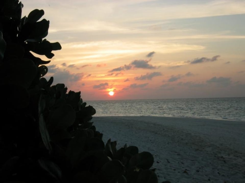 Sonnenuntergang Fihalhohi Maldives