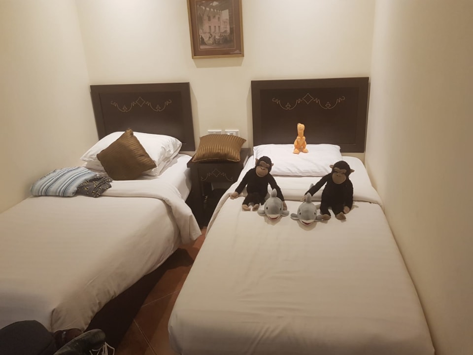 Zimmer Three Corners Sea Beach Resort