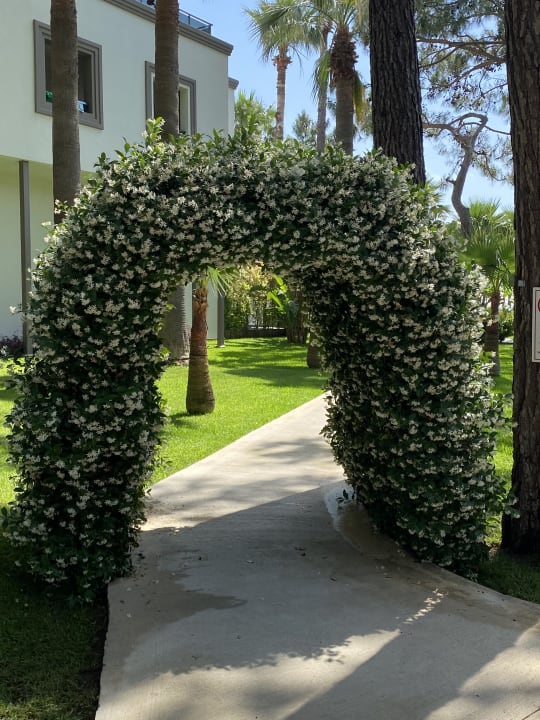 Gartenanlage Seven Seas Hotel Life