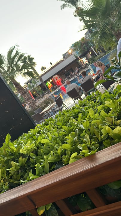 Pool Sunis Evren Beach Resort Hotel & Spa