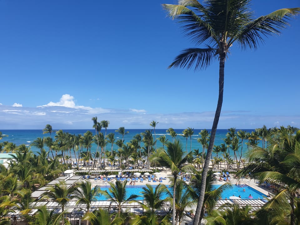 Ausblick Hotel Riu Palace Punta Cana