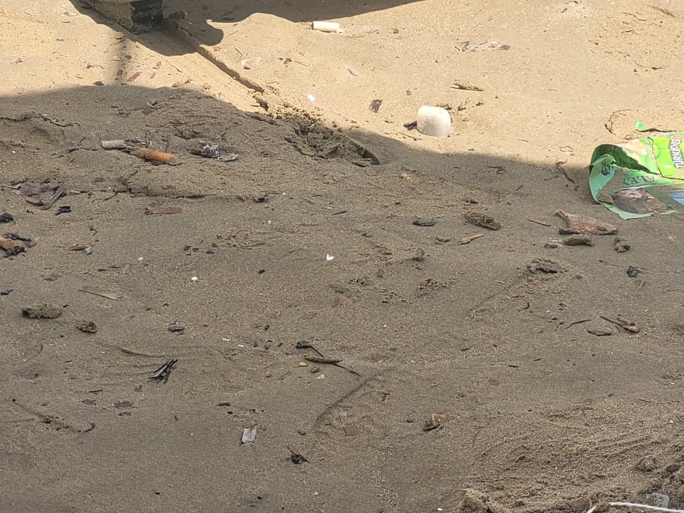 Strand Clover Magic Nova Beach