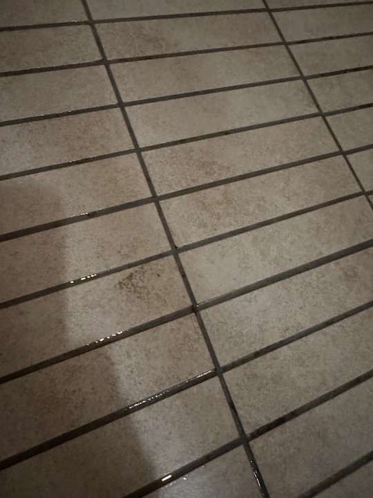 Zimmer Well Palace Side