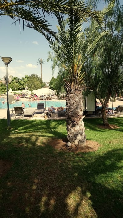 Pool Hotel Kenzi Club Agdal Medina