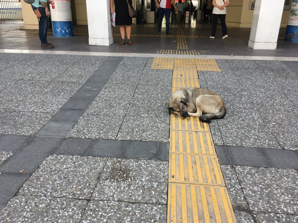 Sonstiges Ramada Resort Kusadasi & Golf