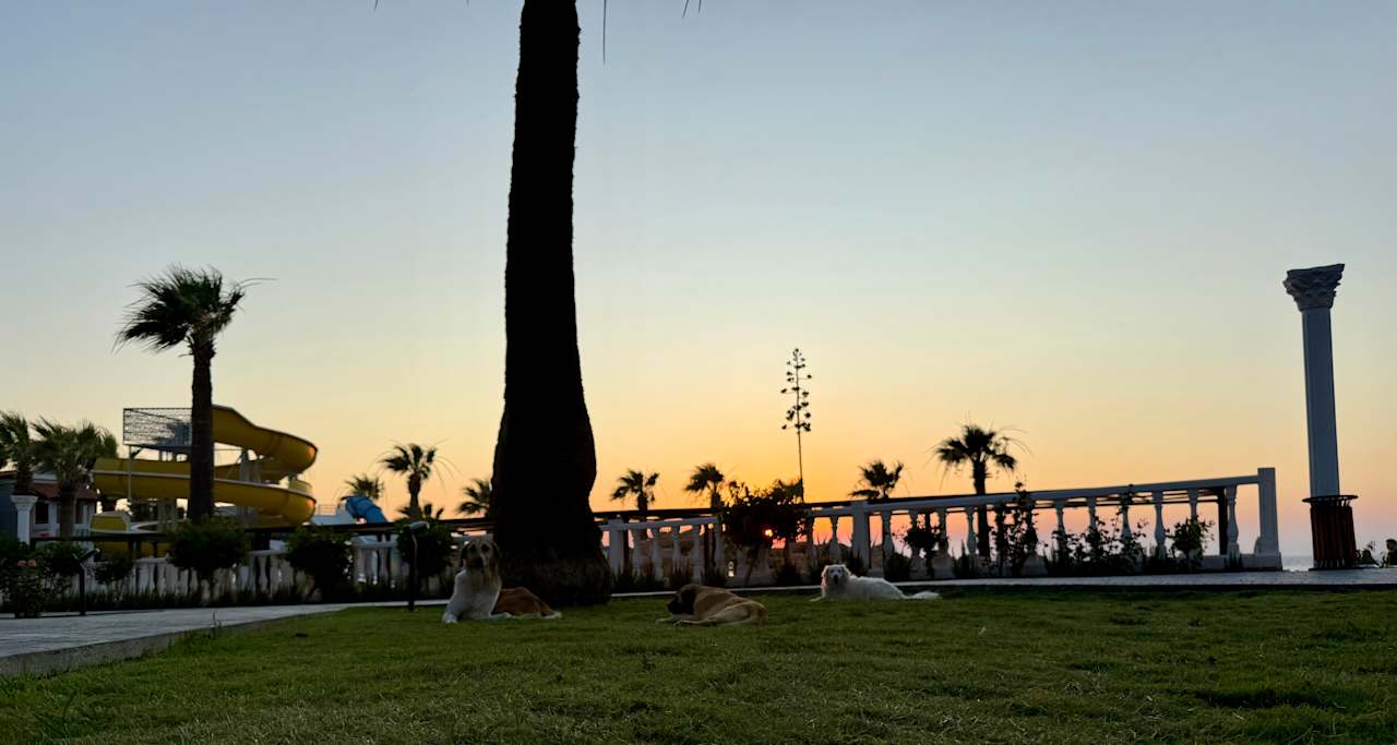 Gartenanlage Lucas Didim Resort