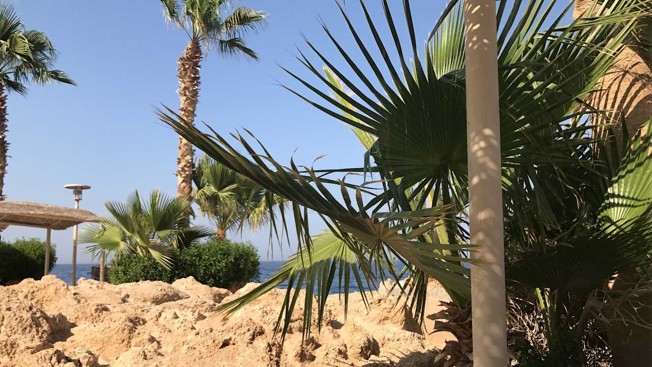 Strand Pickalbatros Citadel Resort