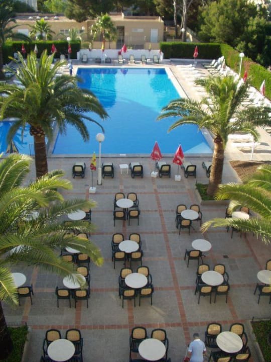 Blick auf den Pool Millor Sol