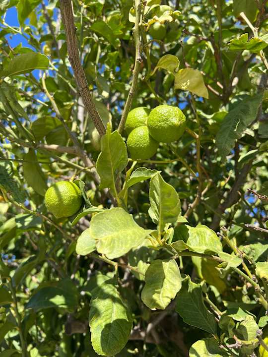 Sonstiges Euro Village Achilleas Hotel