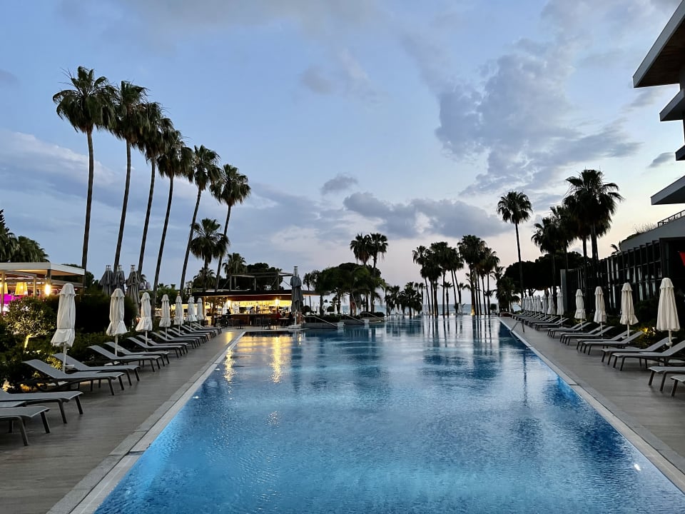 Pool Acanthus Cennet Barut Collection