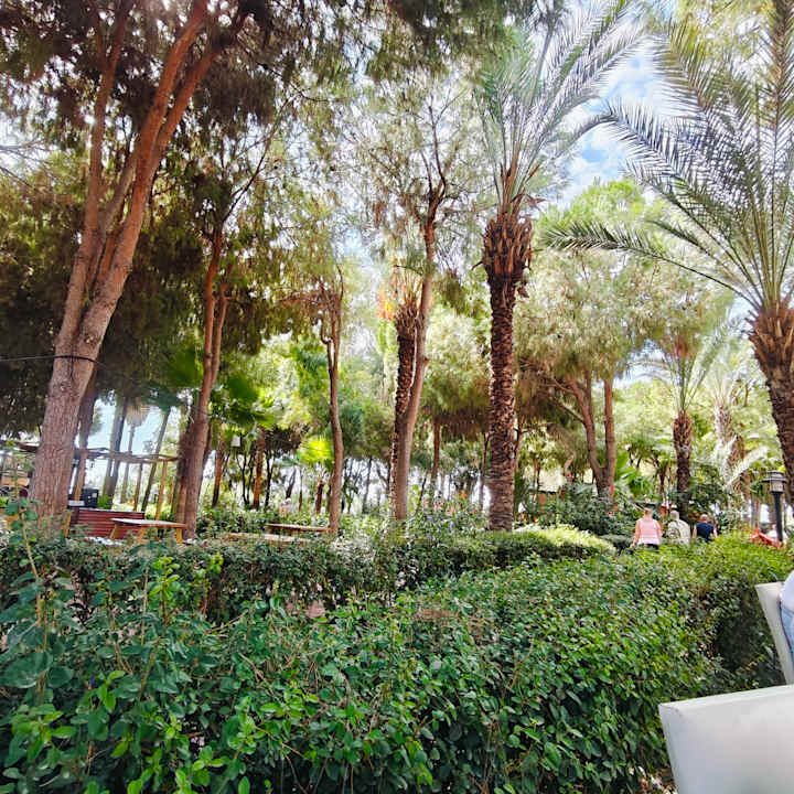 Außenansicht Club Turtas Beach Hotel