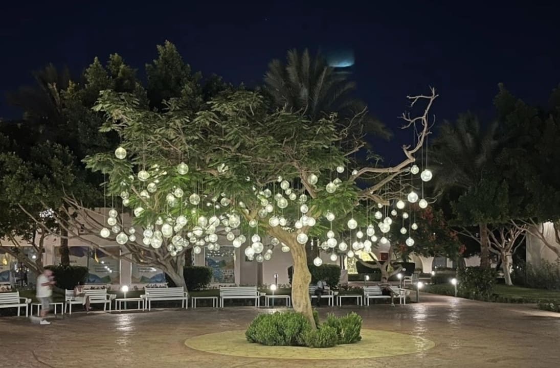 Außenansicht Desert Rose