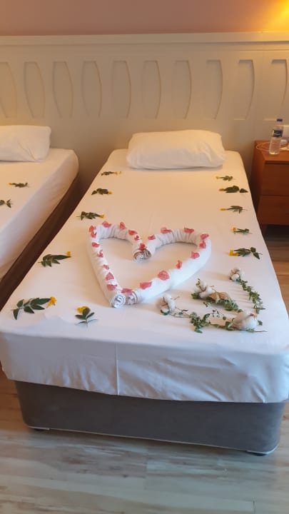 Zimmer Side Crown Serenity