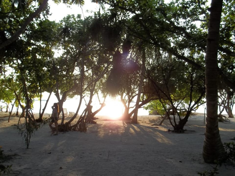 Ausicht zum Strand Adaaran Select Hudhuran Fushi - Premium All Inclusive