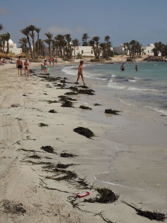 Strand Abschnitt Hotel El Mouradi Djerba Menzel