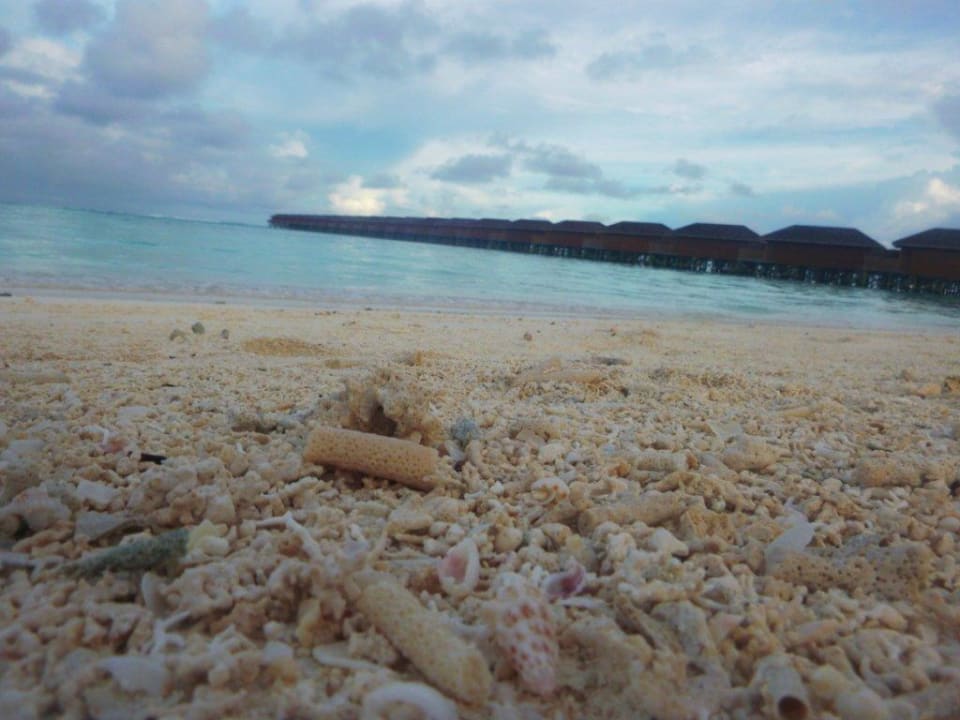 Angespülte Korallen-Reste Meeru Maldives Resort Island