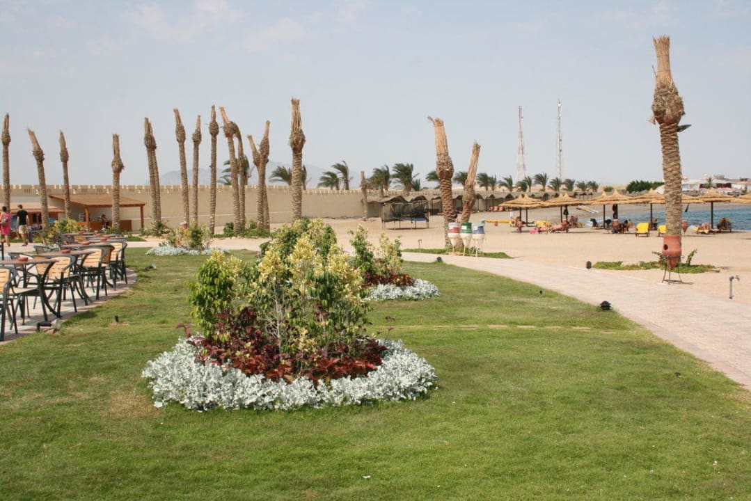 Neuangelegte Gartenanlage Coral Sun Beach