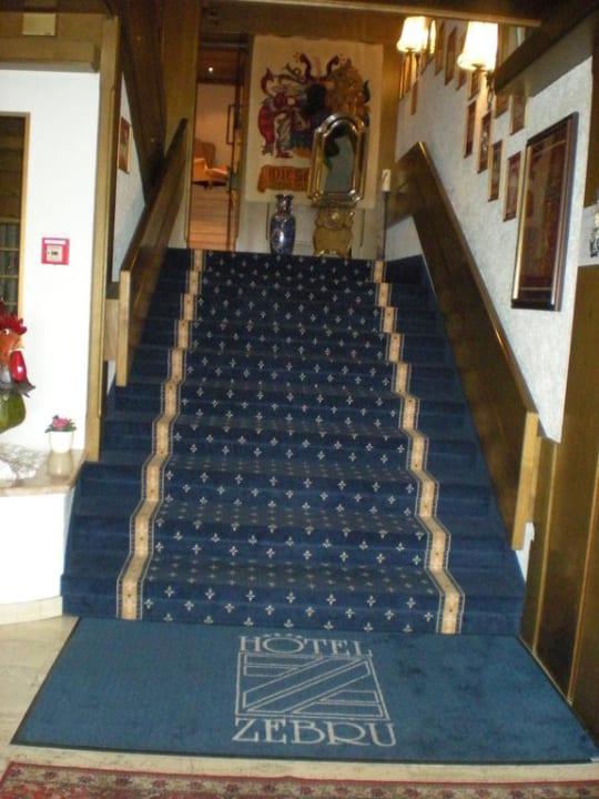 Interno hotel Hotel Zebru