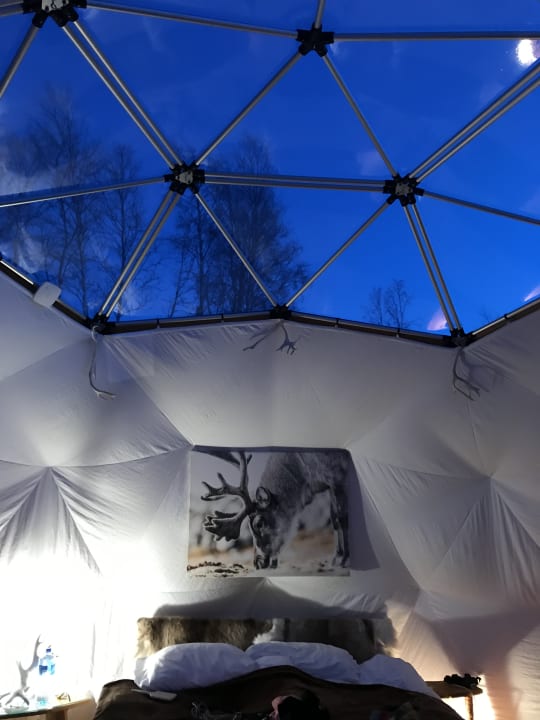 Zimmer Wild Caribou Dome