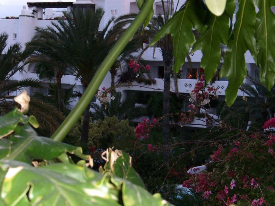 Ein Teil des Hotels Jardin Tropical Dreams Jardín Tropical