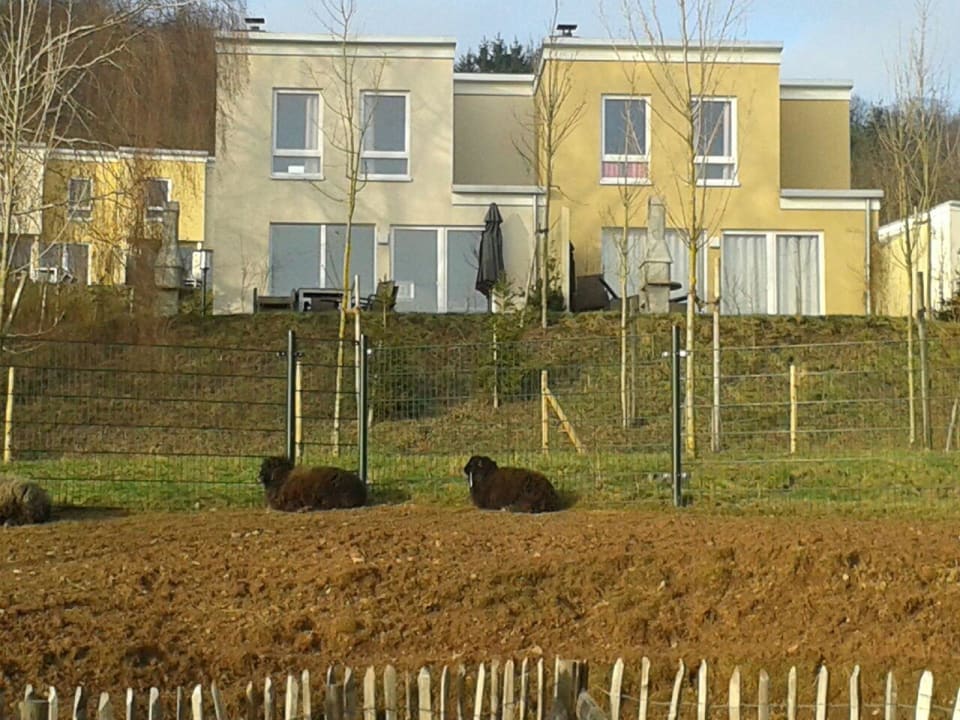 Ausblick Center Parcs Park Bostalsee