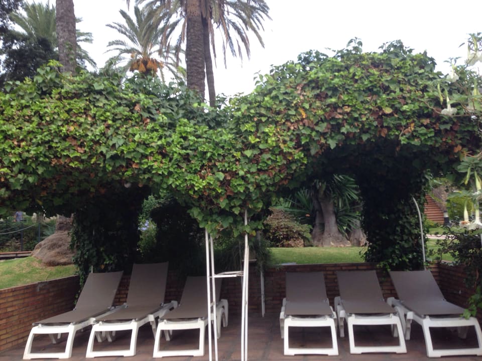 Sonstiges Hotel Best Siroco