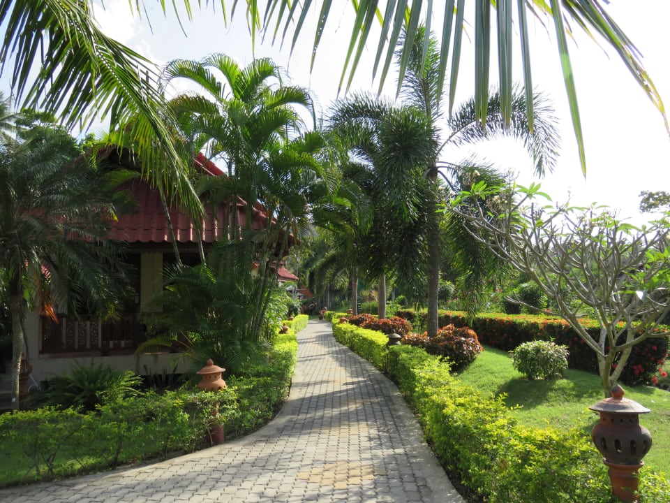 Bungalow mit Garten Long Bay Resort Koh Phangan