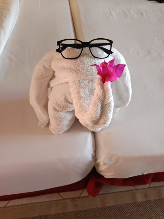 Zimmer Jaz Makadi Oasis Resort