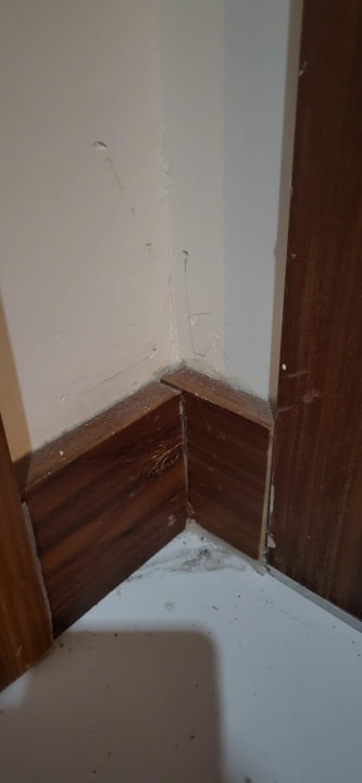 Zimmer Seaden Sea World Resort & Spa