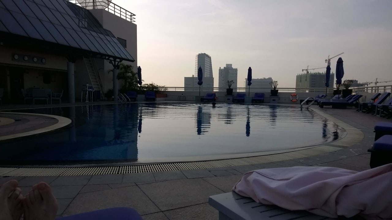 Basen o poranku Hotel Sofitel Plaza