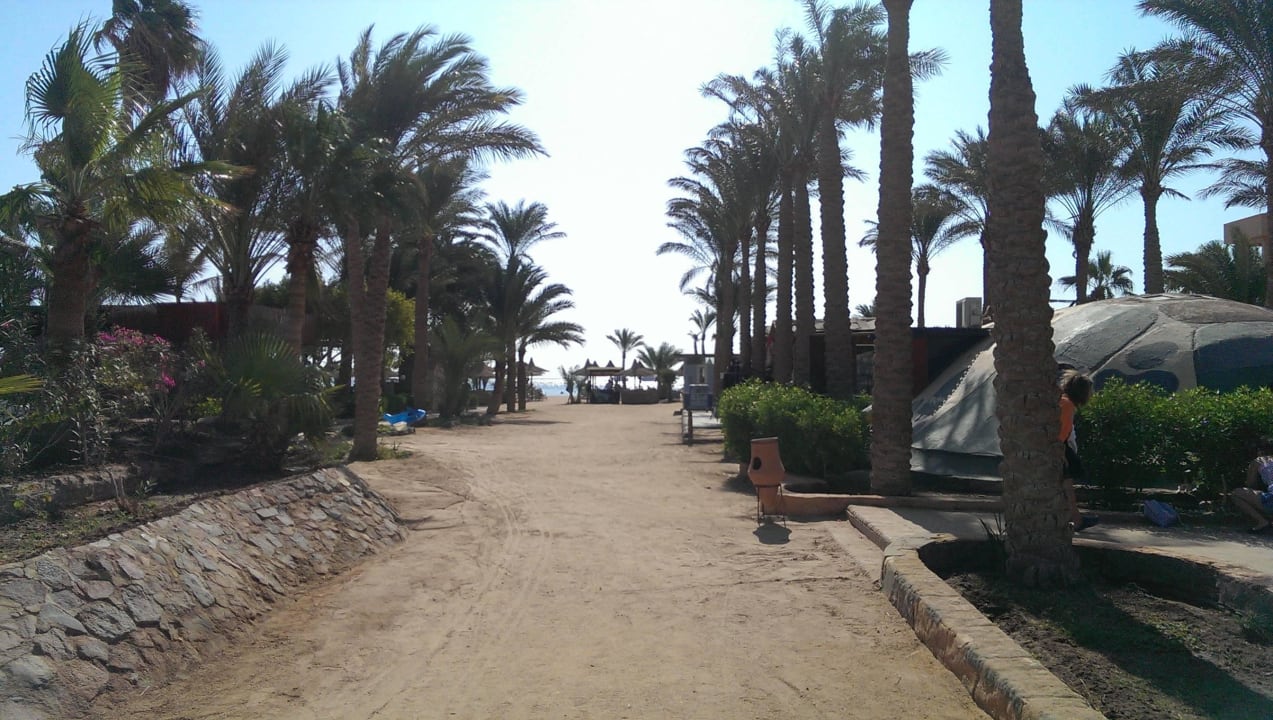 Weg zum Hotelstrand Giftun Azur Resort