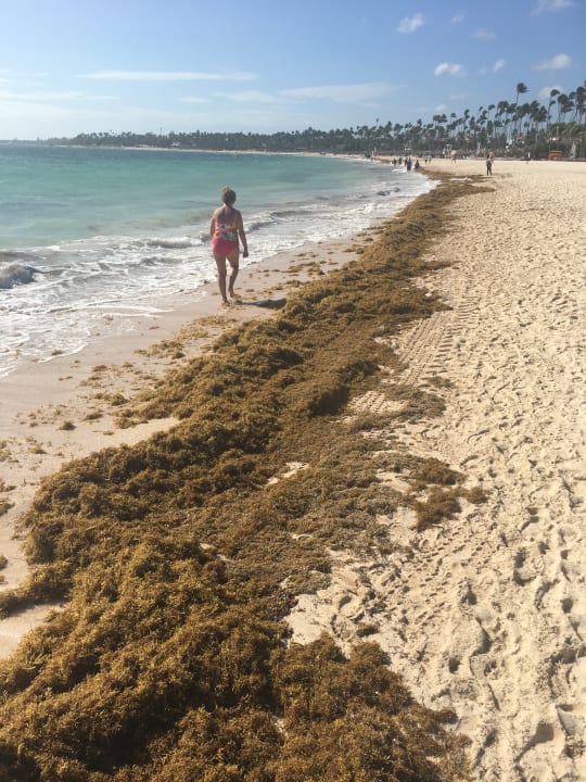 Strand Secrets Royal Beach Punta Cana - Adults only
