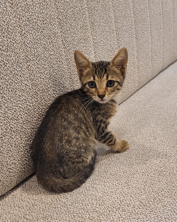 Sonstiges Bodrum Park Resort