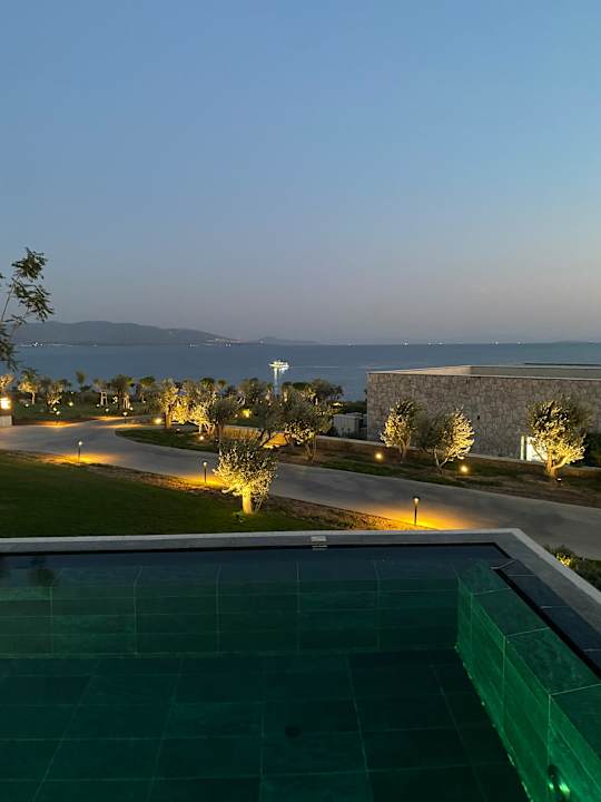 Zimmer Anda Barut Collection