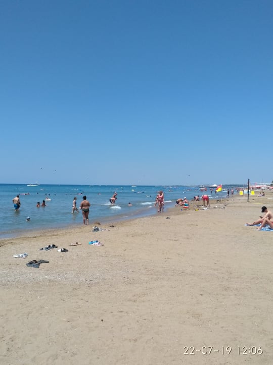 Strand Side Star Elegance