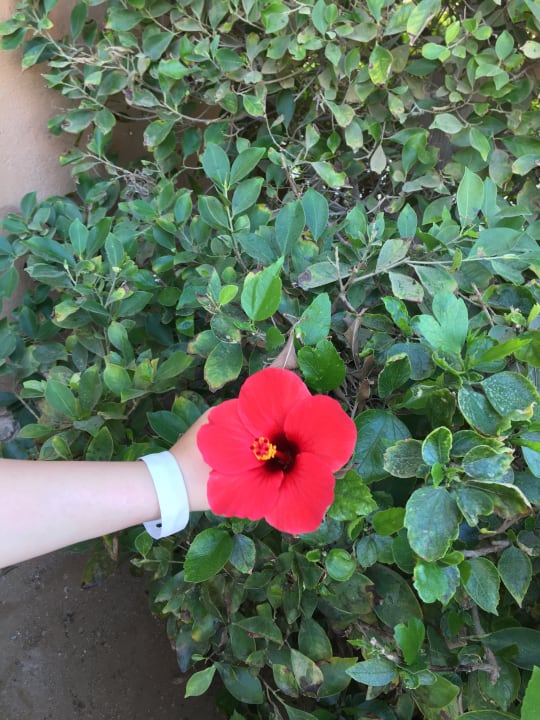 Ausblick Hotel Titanic Palace