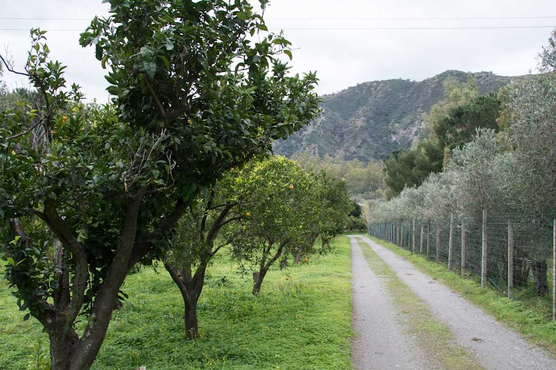 Gartenanlage Villa Laura Resort