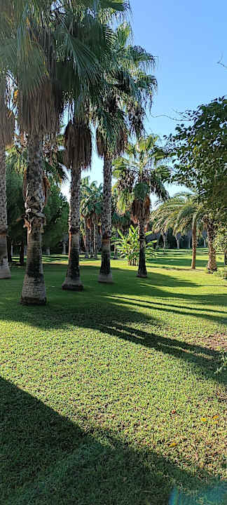 Gartenanlage Hotel Süral Resort